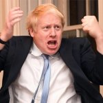 Boris sandwich