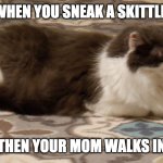 Skittles | WHEN YOU SNEAK A SKITTLE; THEN YOUR MOM WALKS IN | image tagged in cat keeping secret,skittles | made w/ Imgflip meme maker