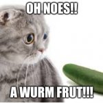 pickle cat | OH NOES!! A WURM FRUT!!! | image tagged in pickle cat | made w/ Imgflip meme maker