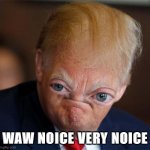 Trump waw noice very noice meme
