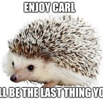 carl the hedgehog | ENJOY CARL; HE WILL BE THE LAST THING YOU SEE | image tagged in carl the hedgehog | made w/ Imgflip meme maker