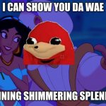Remember this guy? | I CAN SHOW YOU DA WAE; SHINING SHIMMERING SPLENDID | image tagged in i can show you the world | made w/ Imgflip meme maker