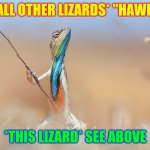 Lizard | *ALL OTHER LIZARDS* "HAWK! *THIS LIZARD* SEE ABOVE | image tagged in lizard | made w/ Imgflip meme maker