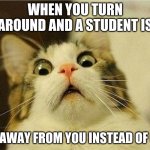 Suprised Cat | WHEN YOU TURN AROUND AND A STUDENT IS; 6IN AWAY FROM YOU INSTEAD OF 6FT. | image tagged in suprised cat | made w/ Imgflip meme maker