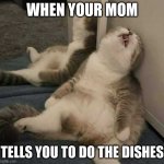 deep sleep cat | WHEN YOUR MOM; TELLS YOU TO DO THE DISHES | image tagged in deep sleep cat | made w/ Imgflip meme maker