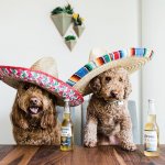 mexican dogs