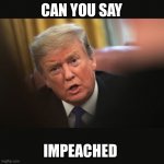 Impeached Trump | CAN YOU SAY; IMPEACHED | image tagged in impeached trump | made w/ Imgflip meme maker