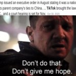 Death to TikTok | image tagged in hawkeye ''don't give me hope'' | made w/ Imgflip meme maker