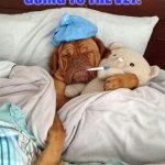 Sick Dog | DOGS AFTER GOING TO THE VET: | image tagged in sick dog,stop reading the tags | made w/ Imgflip meme maker