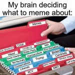 files | My brain deciding what to meme about:; Memes; Communism; Eco-Socialism; Coup; M4A; COVID-19; Domestic Terrorism Act; Green Party; Biden; Centrists; Weed; Permaculture; Howie Hawkins; Service Dogs; Trump; Net Neutrality; Left Unity; LGBTQ+ Solidarity; Conservatives; MMT; Liberals; RCV | image tagged in files,memes | made w/ Imgflip meme maker