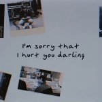 I'm sorry that I hurt you darling