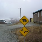 Kids Playing With Bears