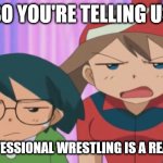 Max and May irritated | SO YOU'RE TELLING US; THAT PROFESSIONAL WRESTLING IS A REAL SPORT? | image tagged in max and may irritated | made w/ Imgflip meme maker
