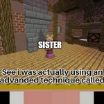 Technoblade Lying | WHEN YOUR SISTER SAYS SHE WONT TELL YOU HIT HER FOR 5 DOLLERS BUT SHE TELLS MOM ANYWAY; SISTER | image tagged in technoblade lying | made w/ Imgflip meme maker