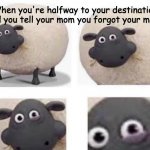 You'd think.. | When you're halfway to your destination and you tell your mom you forgot your mask | image tagged in sheep with half closed eye | made w/ Imgflip meme maker
