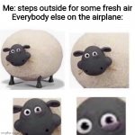 Sheep With Half Closed Eye | Me: steps outside for some fresh air
Everybody else on the airplane: | image tagged in sheep with half closed eye,airplane,plane | made w/ Imgflip meme maker