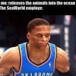 Westbrook NBA Live | me: releases the animals into the ocean
The SeaWorld employe: | image tagged in westbrook nba live | made w/ Imgflip meme maker