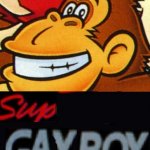 Sup Gay Boy meme