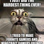 Astonished Wet Cat | I JUST DID THE HARDEST THING EVER! I TRIED TO MAKE FORNITE GAMERS AND MINECRAFT GAMERS FREINDS | image tagged in astonished wet cat | made w/ Imgflip meme maker