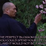 Last Samurai Katsumoto perfect blossom
