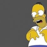 Homer Simpsons dumb face