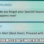Duo knows.... | WHEN YOU MISS A DAYS WORTH OF DUOLINGO | image tagged in duolingo phone meme | made w/ Imgflip meme maker