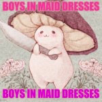 boys in skirts | BOYS IN MAID DRESSES; BOYS IN MAID DRESSES | image tagged in mushroom boi | made w/ Imgflip meme maker