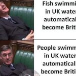 British fish
