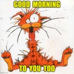Bill the Cat | GOOD  MORNING; TO  YOU  TOO | image tagged in bill the cat | made w/ Imgflip meme maker
