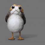 Inquiring Porg wants to know meme