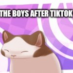 Me and the boys celebrate | ME AND THE BOYS AFTER TIKTOK IS GONE | image tagged in gifs,memes,fun,tiktok sucks,imgflip rules | made w/ Imgflip video-to-gif maker