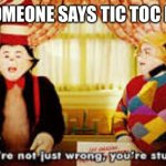 Anyone who likes tic toc haven’t experienced life | WHEN SOMEONE SAYS TIC TOC IS GOOD : | image tagged in your not just wrong your stupid | made w/ Imgflip meme maker