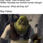 Good Question | Ray Fisher: Joss Whedon and Walter Hamada are terrible human beings! Everyone: What did they do? Ray Fisher: | image tagged in good question | made w/ Imgflip meme maker