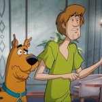 Shaggy and Scooby concerned meme