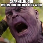 oh crappo | THANOS AFTER HIS SNAP KILLED JOHN WICKS DOG BUT NOT JOHN WICK | image tagged in thanos scream | made w/ Imgflip meme maker