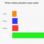 What Makes People's Eyes Water meme