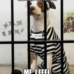 Dog In Prison | WHEN YOUR MOM COOKS THE WORST FOOD AND IVES IT TO YOU TO EAT; ME: I FEEL LIKE IM IN PRISON | image tagged in dog in prison | made w/ Imgflip meme maker