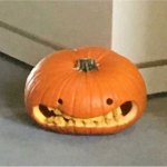 Regretful pumpkin