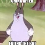 Big Chungus | CHINA AFTER; EATING THE BAT | image tagged in big chungus | made w/ Imgflip meme maker