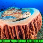 turtle nestled over coral | ELECTRIFYING CORAL REEF DREAMS | image tagged in turtle nestled over coral | made w/ Imgflip meme maker