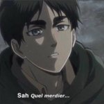 Sah quel  merdier
