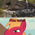 What the heck has to do with this maniac?! | You nuts!! | image tagged in jealousy big macintosh mlp,you had one job,funny signs,stupid signs,funny,task failed successfully | made w/ Imgflip meme maker