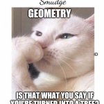 Smudge | GEOMETRY; J M; IS THAT WHAT YOU SAY IF YOU'RE TURNED INTO A TREE? | image tagged in smudge | made w/ Imgflip meme maker