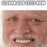 Slovak gov sites | SLOVAK GOV SITES NOW | image tagged in pain harold | made w/ Imgflip meme maker