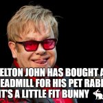 Elton John | ELTON JOHN HAS BOUGHT A TREADMILL FOR HIS PET RABBIT.
IT’S A LITTLE FIT BUNNY 🐇 | image tagged in elton john | made w/ Imgflip meme maker