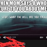 bruh | WHEN MOM SAYS A WHOLE LECTURE TO YOU ABOUT MEMES | image tagged in stop what the hell are you talking about | made w/ Imgflip meme maker