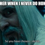 so you have chosen death | MY TEACHER WHEN I NEVER DO HOMEWORK: | image tagged in saruman - death | made w/ Imgflip meme maker