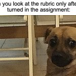 Nervous doggle | When you look at the rubric only after you
 turned in the assignment: | image tagged in nervous doggle | made w/ Imgflip meme maker