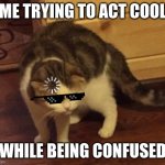 Wow i am not cool! | ME TRYING TO ACT COOL; WHILE BEING CONFUSED | image tagged in confused cat | made w/ Imgflip meme maker