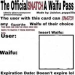 Official Snatch A waifu pass